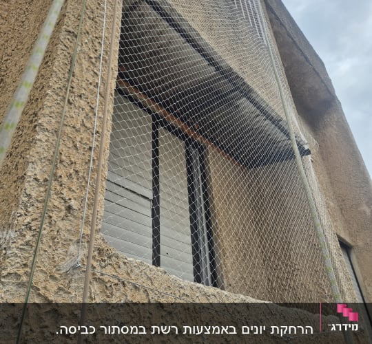רשת יונים מותקנת על חלון בניין למניעת כניסת יונים